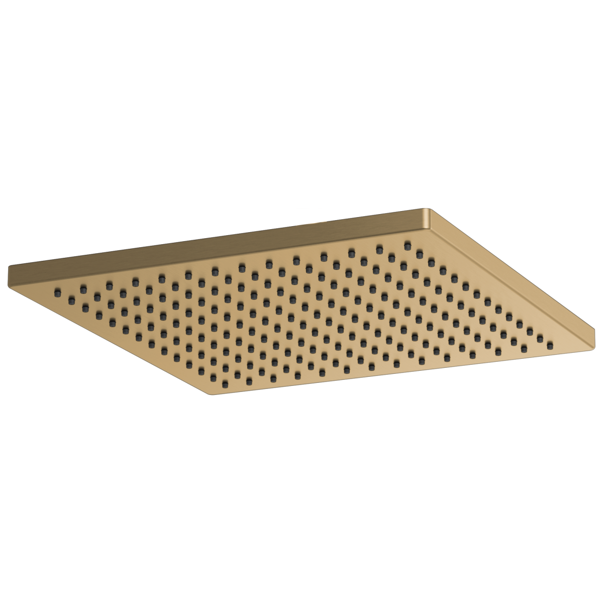 BRIZO Essential Shower 12" Linear Square Single-Function Raincan Shower Head - 2.5 GPM — Luxe Gold