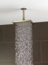 BRIZO Essential Shower 8" Linear Square Single-Function Raincan Shower Head - 1.75 GPM — Brushed Nickel