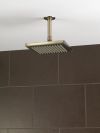 BRIZO Essential Shower 8" Linear Square Single-Function Raincan Shower Head - 1.75 GPM — Brushed Nickel