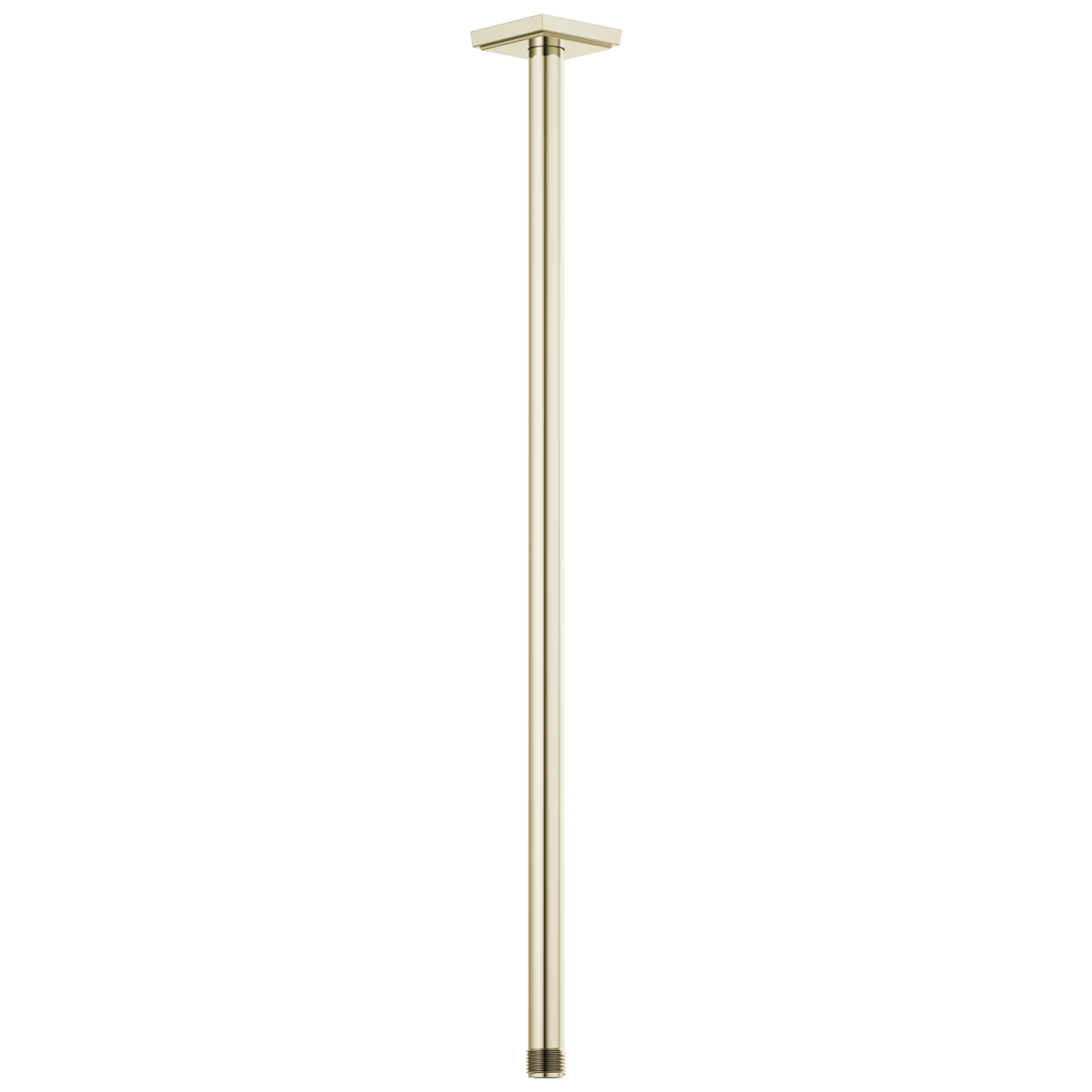 BRIZO Essential Shower 24" Ceiling Mount Shower Arm And Square Flange — Polished Nickel