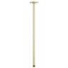 Polished Nickel