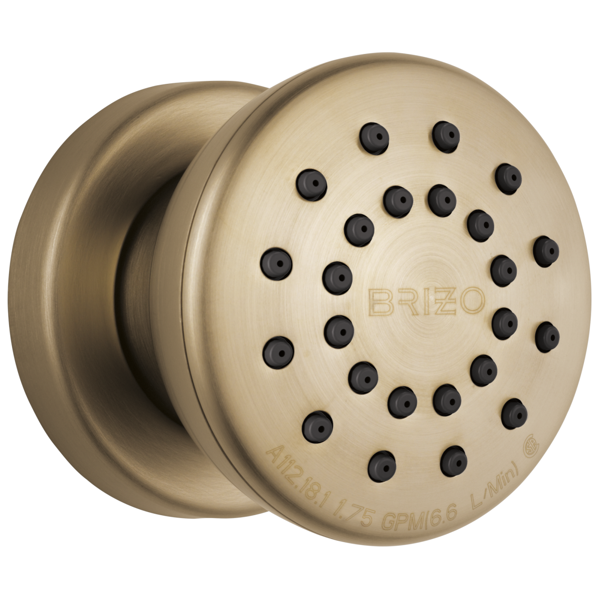 BRIZO Essential Shower Touch-Clean Round Body Spray — Luxe Gold