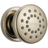 Polished Nickel