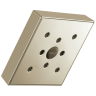 Polished Nickel