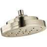 Polished Nickel