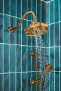 BRIZO Beauclere Multi-Function Slide-Bar Hand Shower — Polished Gold
