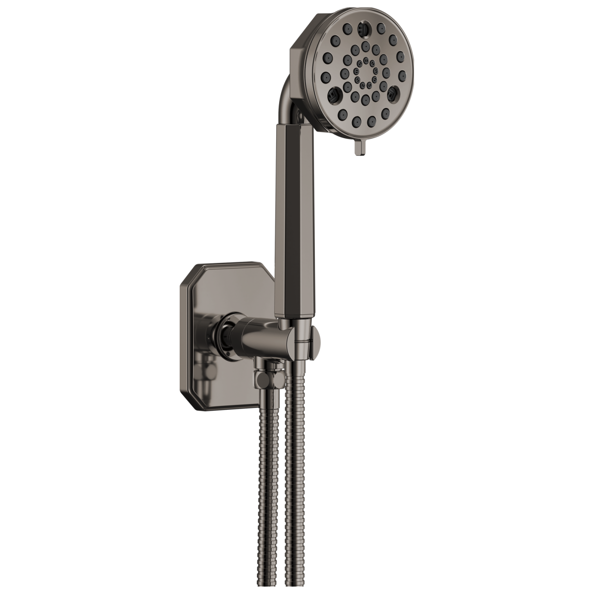 BRIZO Beauclere Multi-Function Wall Mount Hand Shower — Brilliance Black Onyx