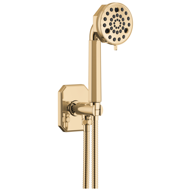 BRIZO Beauclere Multi-Function Wall Mount Hand Shower — Polished Gold