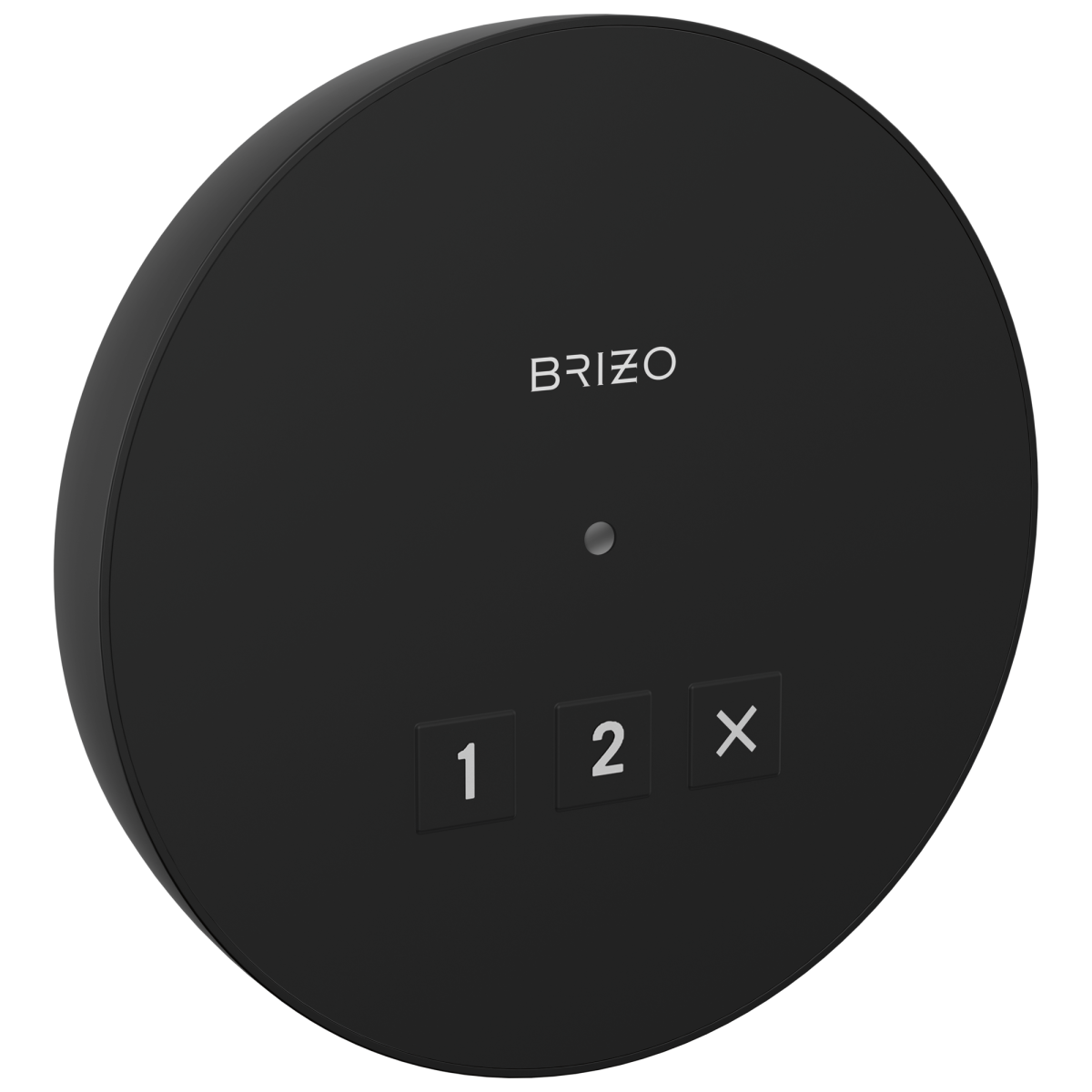 BRIZO Other Elemental Round Exterior Control — Matte Black