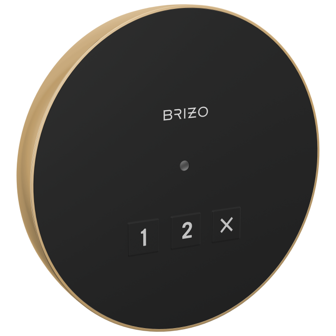 BRIZO Other Elemental Round Exterior Control — Lumicoat® Polished Gold