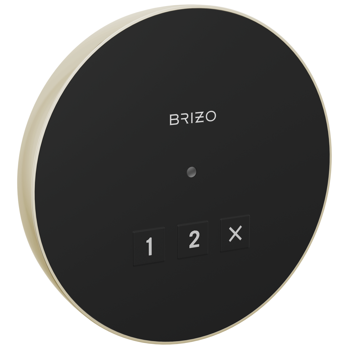 BRIZO Other Elemental Round Exterior Control — Lumicoat® Polished Nickel