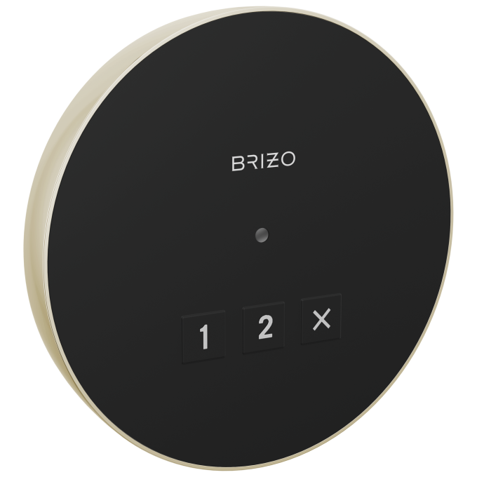 BRIZO Other Elemental Round Exterior Control — Lumicoat® Polished Nickel