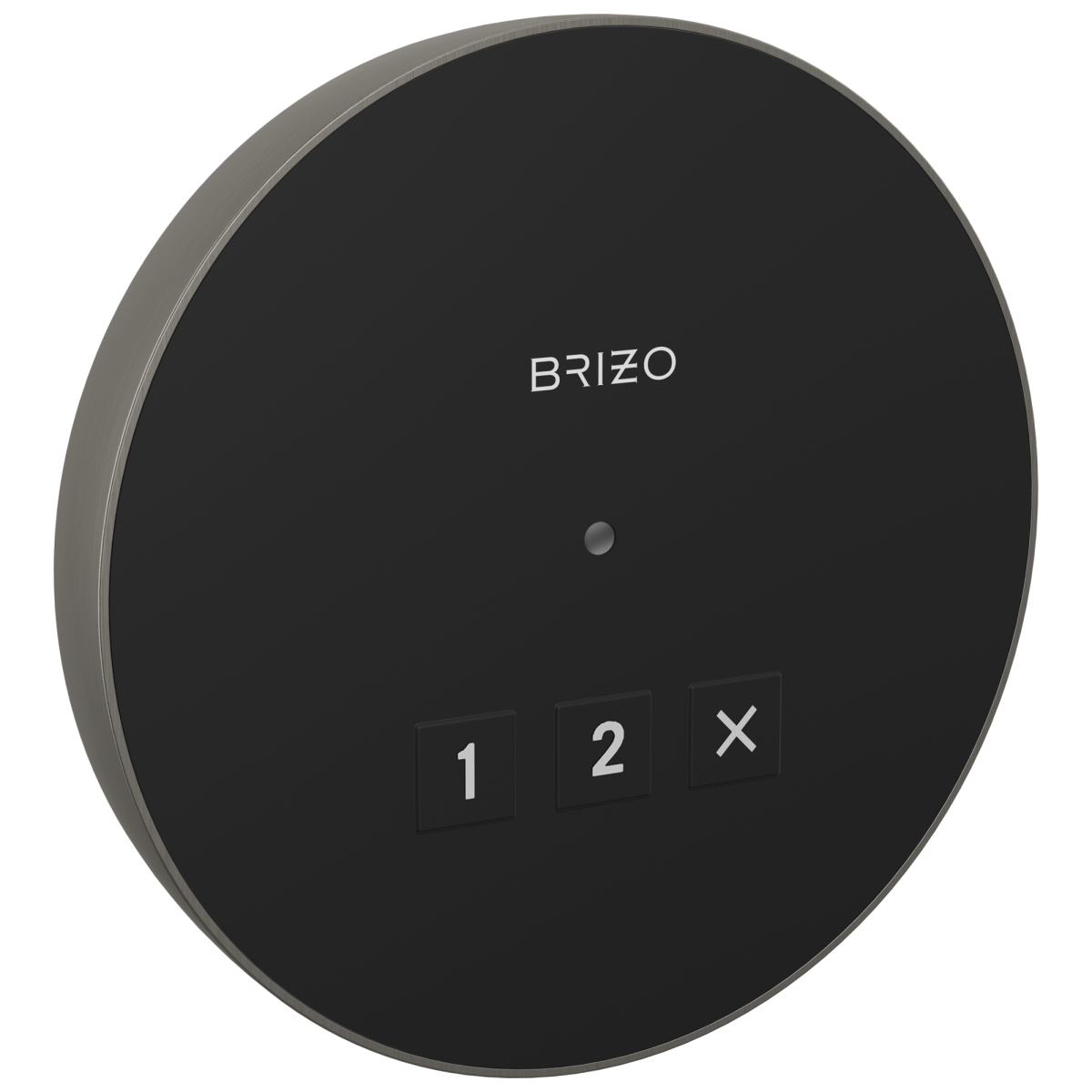BRIZO Other Elemental Round Exterior Control — Lumicoat® Luxe Steel