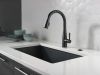 DELTA Essa Single Handle Pull-Down Kitchen Faucet — Matte Black