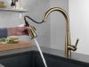 DELTA Essa Single Handle Pull-Down Kitchen Faucet — Champagne Bronze