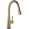 Champagne Bronze