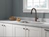 DELTA Essa VoiceIQ Single Handle Pull-Down Faucet with Touch2O Technology — Venetian Bronze