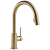 DELTA Trinsic Single Handle Pull-Down Kitchen Faucet — Champagne Bronze