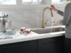 DELTA Trinsic Single Handle Pull-Down Kitchen Faucet with Touch2O Technology — Champagne Bronze