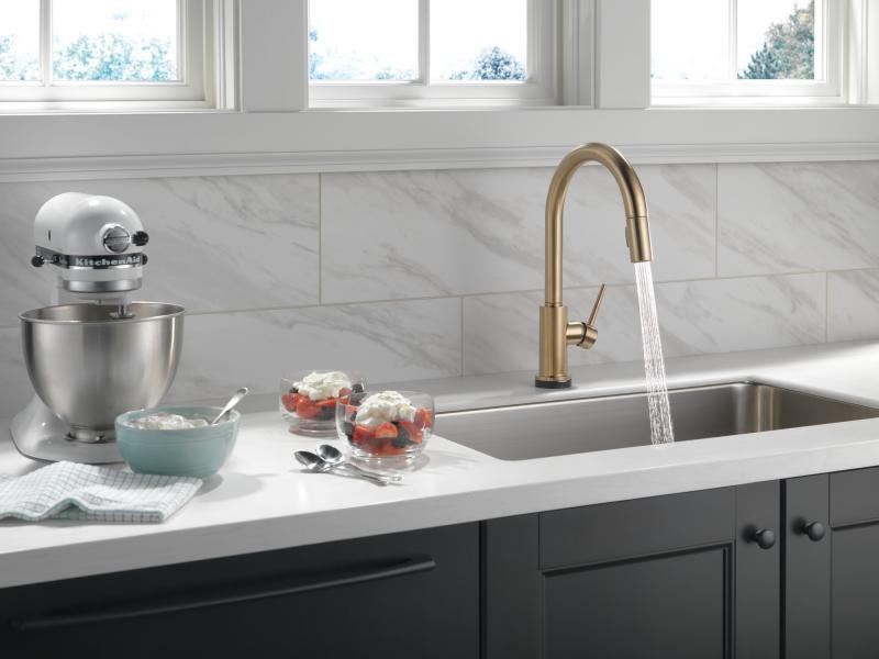 DELTA Trinsic Single Handle Pull-Down Kitchen Faucet with Touch2O Technology — Champagne Bronze