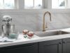 DELTA Trinsic Single Handle Pull-Down Kitchen Faucet with Touch2O Technology — Champagne Bronze