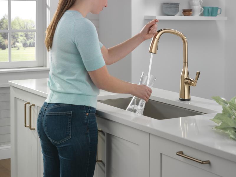 DELTA Stryke Single Handle Pull-Down Kitchen Faucet with Touch2O Technology — Lumicoat® Champagne Bronze