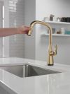 DELTA Stryke Touch2O  Pull-Down Kitchen w/ Voice — Lumicoat® Champagne Bronze