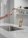 DELTA Stryke Touch2O  Pull-Down Kitchen w/ Voice — Lumicoat® Champagne Bronze