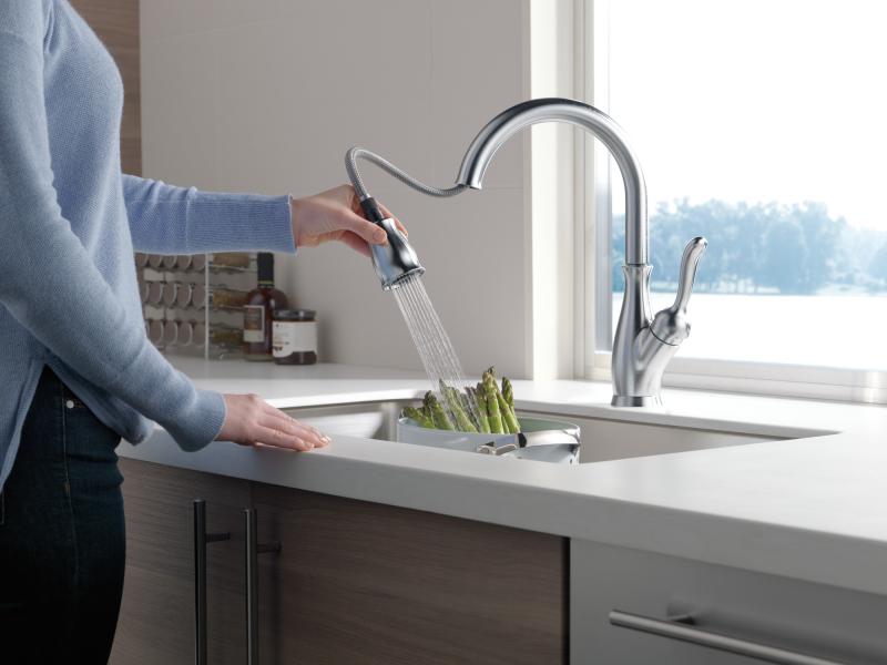 DELTA Leland Single Handle Pull-Down Kitchen Faucet with ShieldSpray Technology — Arctic Stainless