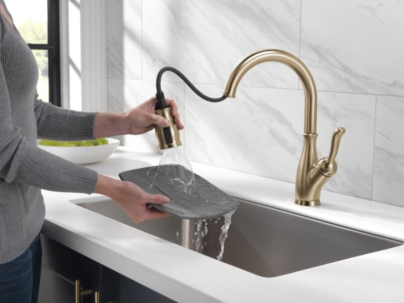 DELTA Leland Single Handle Pull-Down Kitchen Faucet with ShieldSpray Technology — Champagne Bronze