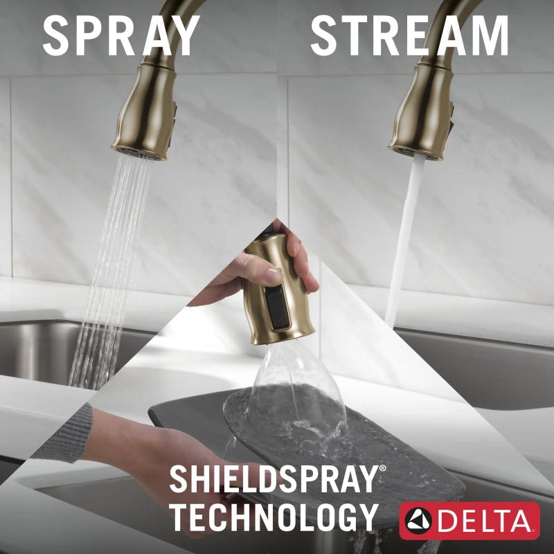 DELTA Leland Single Handle Pull-Down Kitchen Faucet with ShieldSpray Technology — Champagne Bronze