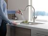 DELTA Leland Single Handle Pull-Down Kitchen Faucet with ShieldSpray Technology — Spotshield Stainless