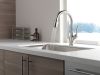 DELTA Leland Single Handle Pull-Down Kitchen Faucet with ShieldSpray Technology — Spotshield Stainless