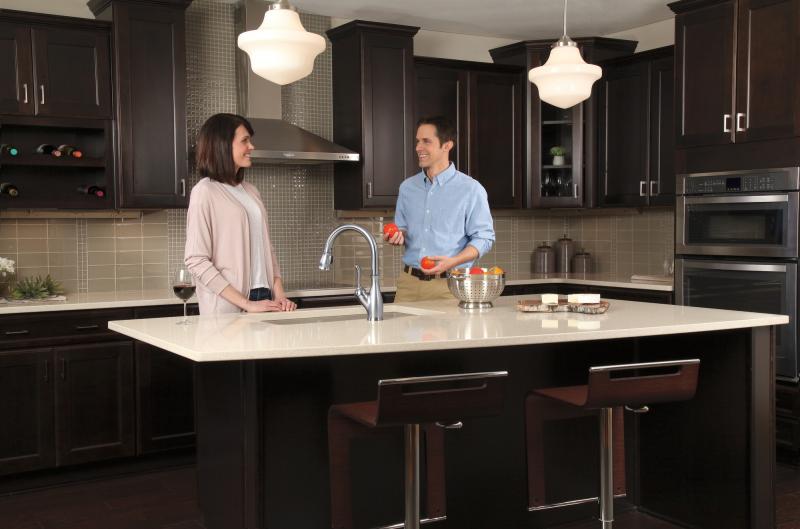 DELTA Leland Single Handle Pull-Down Kitchen Faucet with Touch2O and ShieldSpray Technologies — Arctic Stainless