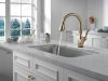 DELTA Leland Single Handle Pull-Down Kitchen Faucet with Touch2O Technology Technology — Champagne Bronze