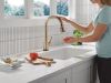 DELTA Emmeline Touch2O Technology Kitchen Faucet with Touchless Technology — Lumicoat® Champagne Bronze