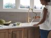 DELTA Altado Single Handle Pull-Down Kitchen Faucet — Champagne Bronze