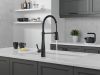 DELTA Essa Single-Handle Pull-Down Spring Kitchen Faucet — Matte Black