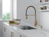 DELTA Essa Single-Handle Pull-Down Spring Kitchen Faucet — Champagne Bronze
