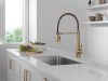 DELTA Essa Single-Handle Pull-Down Spring Kitchen Faucet — Champagne Bronze