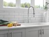 DELTA Essa Single-Handle Pull-Down Spring Kitchen Faucet — Chrome