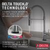 DELTA Trinsic Single-Handle Pull-Down Spring Kitchen Faucet with Touch2O Technology — Arctic Stainless
