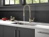 DELTA Broderick Single Handle Pull-Down Kitchen Faucet With Spring Spout — Polished Nickel