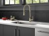 DELTA Broderick Single Handle Pull-Down Kitchen Faucet With Spring Spout — Polished Nickel