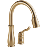 Champagne Bronze