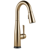 Champagne Bronze