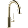 Polished Nickel