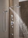 DELTA Other Surface Mount Body Spray — Chrome