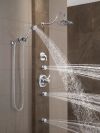 DELTA Other Surface Mount Body Spray — Chrome