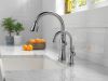 DELTA Cassidy Single Handle Pull-Down Kitchen Faucet — Lumicoat® Arctic Stainless